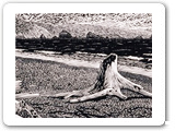 Crescent Beach 2005