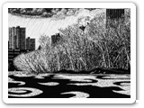 Urban Eagle - 1999