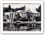 Willipa Shakemill 1997